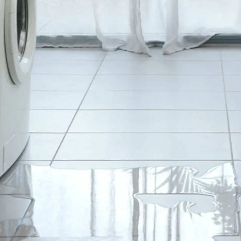 Appliance Leak Cleanup in Saint Charles, MN