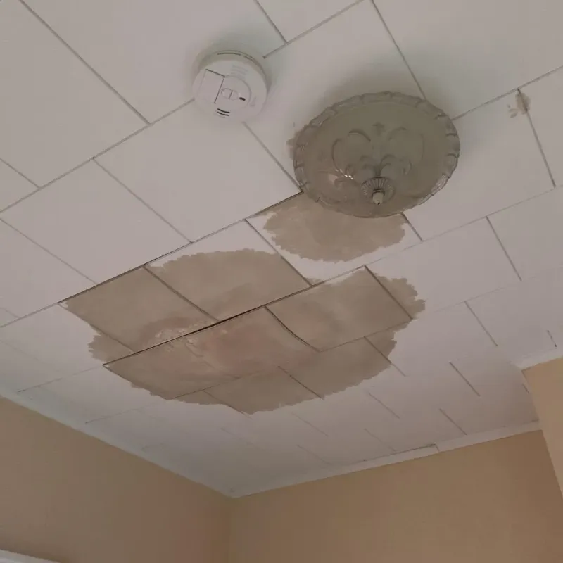 Ceiling Water Damage Repair in Saint Charles, MN