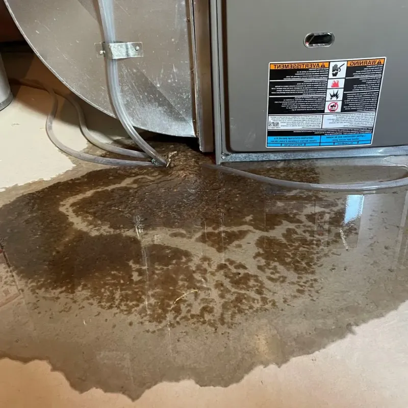 Pipe Burst and Leak Restoration in Saint Charles, MN