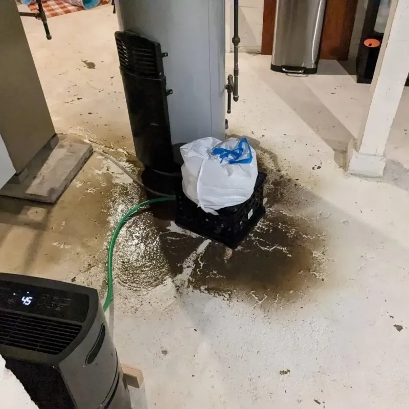 Sewage Backup Cleanup Service in Saint Charles, MN